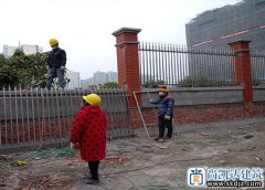 案例